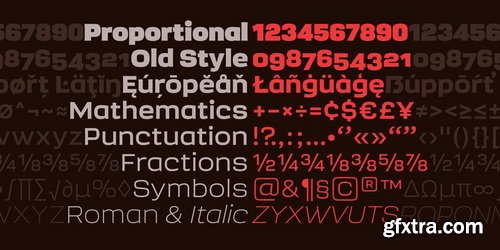 Sqwared Font Family