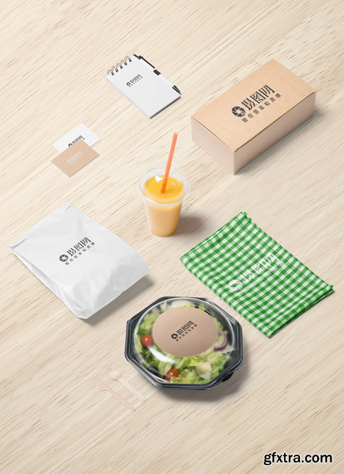 salad vi mockup display