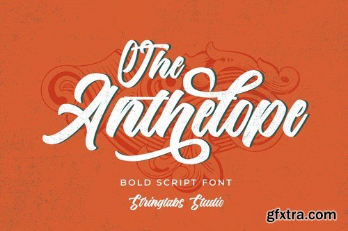 CM - The Anthelope - Retro Bold Script Font 4713237