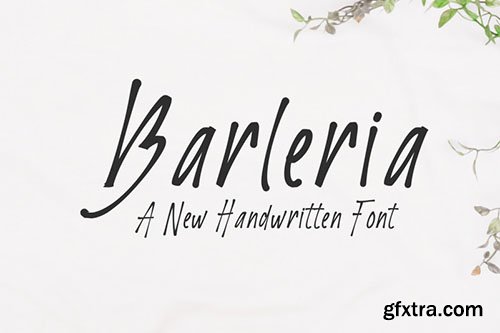 Barleria Script Font