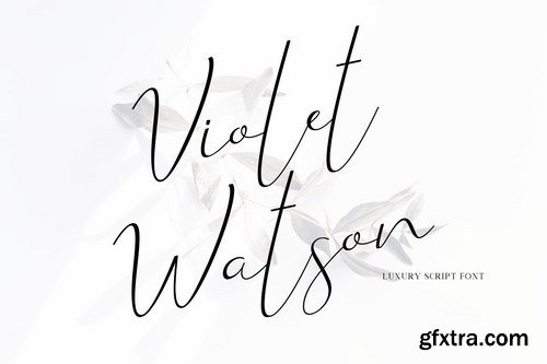 CM - Violet Watson - Script Font 4713465