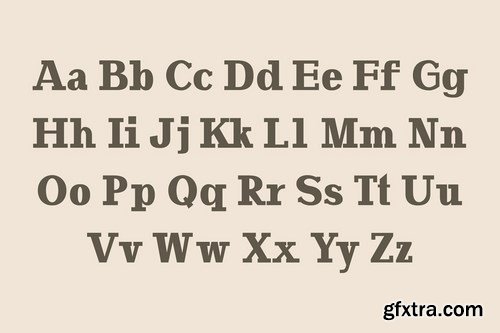 CM - Adena Slab Serif Font Family 4715877