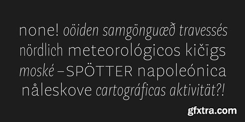 Geller Sans Font Family