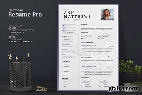 Professional Female Resume / CV