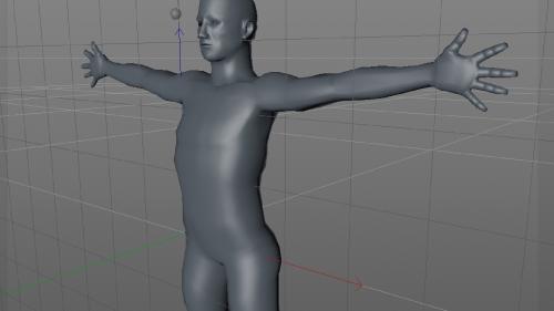 Lynda - Modeling Characters in Cinema 4D - 116953