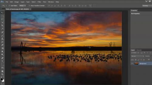 Lynda - Photoshop CS6: Image Cleanup - 123507