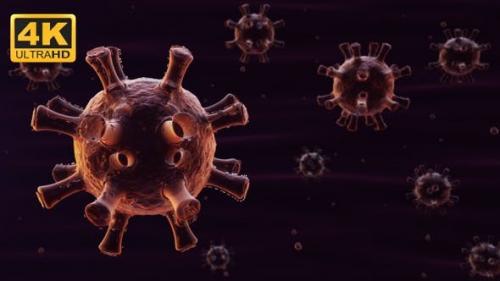 Videohive - COVID-19 Coronavirus