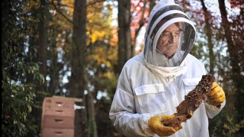 Lynda - Lighting with Flash: Portrait of a Beekeeper and His Bees - 124555