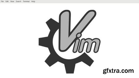 Master vi / vim Linux Command Line Text Editor