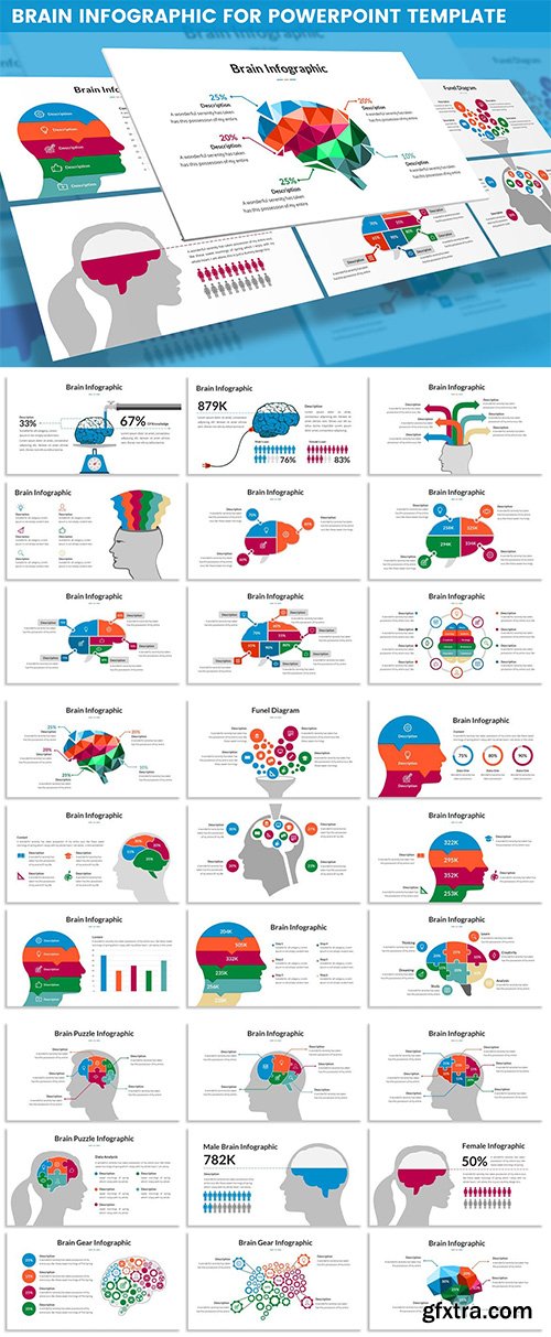 Brain Infographic for Powerpoint