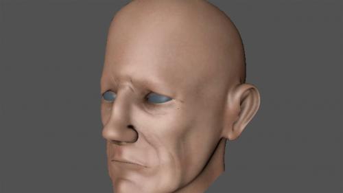 Lynda - Sculpting and Painting a Head in Cinema 4D - 154111