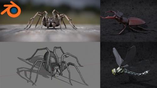 Udemy - Blender 2.81 - Spiders and insects creation from scratch