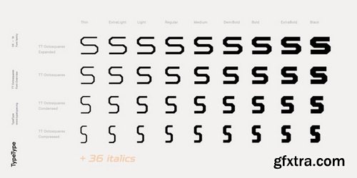 TT Octosquares Font Family