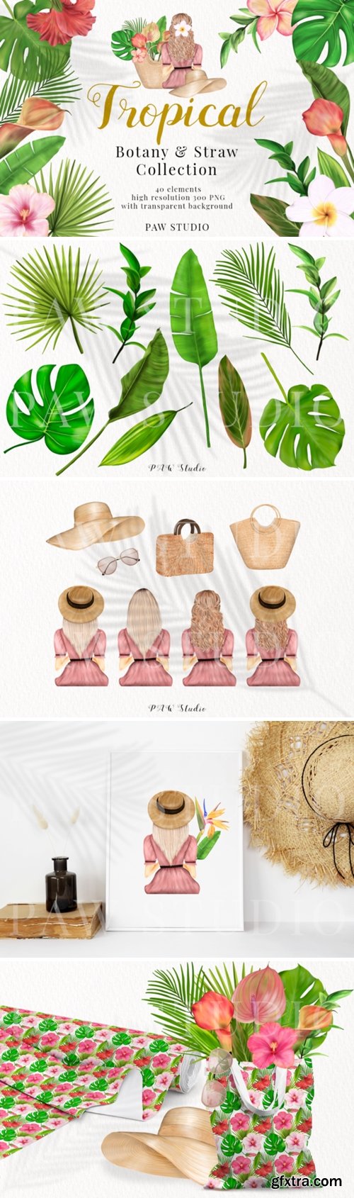 Tropical Illustrations of Flowers, Leave 3759877