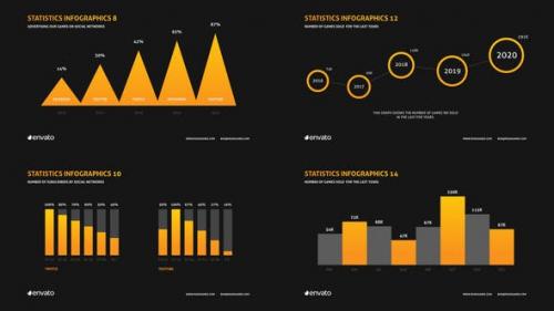 Videohive - Company Infographics Presentation