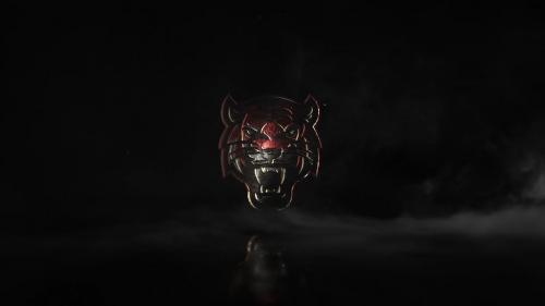 Dark logo reveal - 11577097