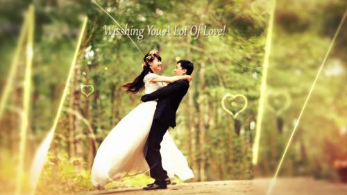 Wedding Slideshow Parallax Intro - 11549775