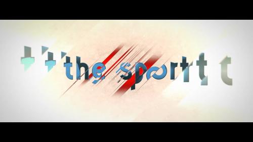 The Sport - 11477632