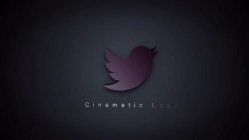 Cinematic Elegant Logo - 12020133