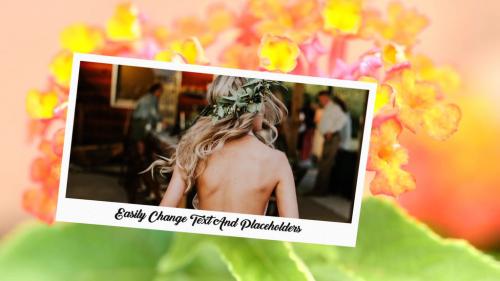 Photo-Video Gallery Smile To Life-Charge Wedding - 11799063