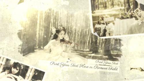 Vintage Wedding Slideshow - 11459670