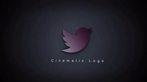 Cinematic Elegant Logo - 12020133