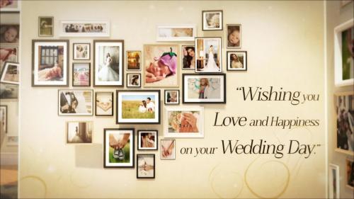 Wedding And Special Events Gallery - 11499461