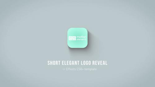 Short Elegant Logo Reveal - 11530444