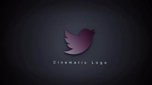 Cinematic Elegant Logo - 12020133