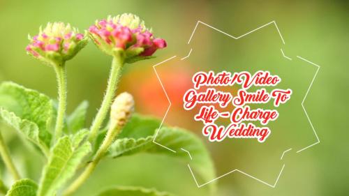 Photo-Video Gallery Smile To Life-Charge Wedding - 11799063