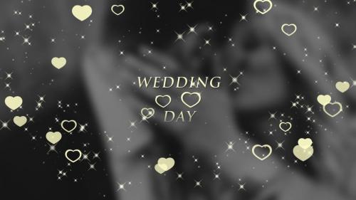 Wedding Titles - 11818495