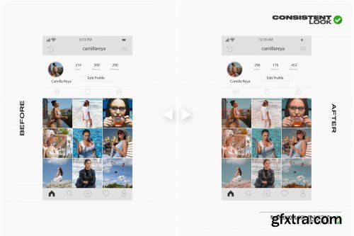 CreativeMarket - INSTAGRAM 2020 LR PRESET MOBILE & PC 4557108