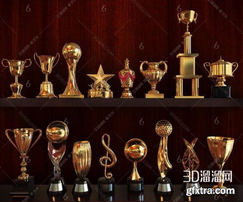 Trophy / medals 01