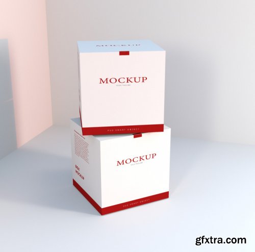 Realistic Packaging Box Mockups