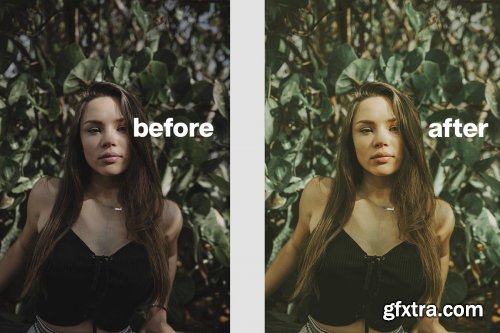 CreativeMarket - AVOCADO Lightroom Presets 4619013