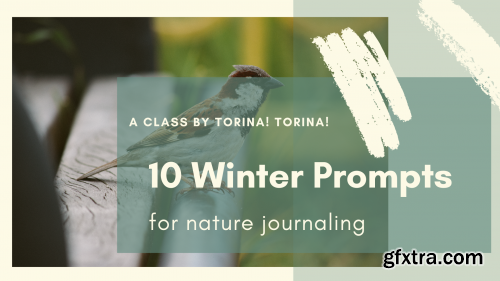  10 Winter Prompts for Nature Journaling