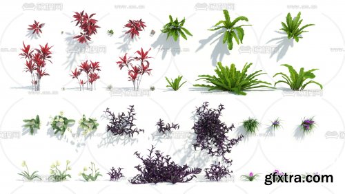 Bushes & Shrubs Pack 03