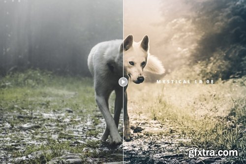 CreativeMarket - Mystical Lightroom Presets 2826671