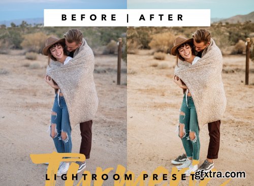 CreativeMarket - Turmeric - Lightroom Preset 4633952