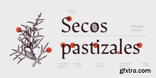 Arida Font Family