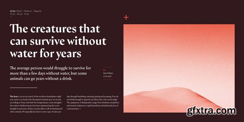 Arida Font Family