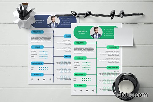 Professional curriculum vitae template