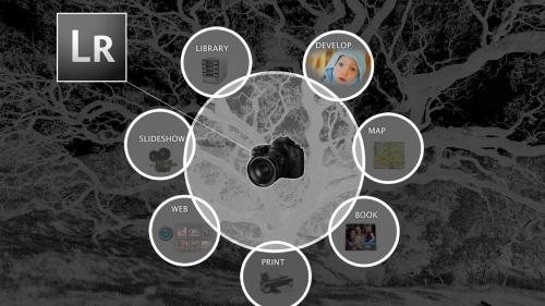 Lynda - Lightroom Classic CC: Managing Photo Catalogs - 408227