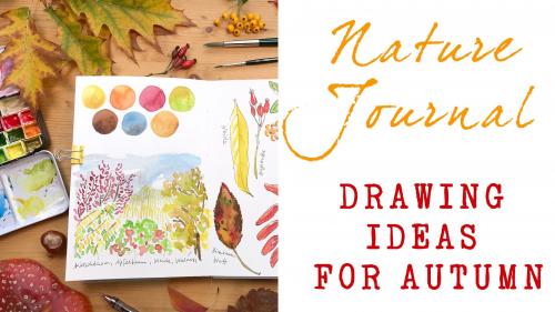 SkillShare - Nature Journal - Drawing Ideas For Autumn - 772574431