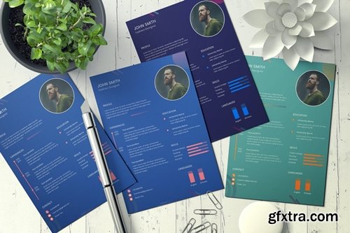 Professional resume design template