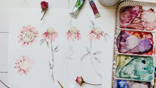 SkillShare - Painting Loose Watercolor Cone Flowers - 856257767