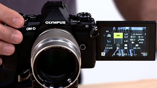 Lynda - Olympus OM-D Cameras: Tips and Techniques - 466180