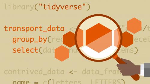 Lynda - Learning the R Tidyverse - 586672