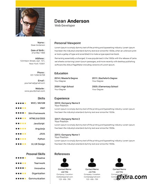 Professional-Web-Developer-resume