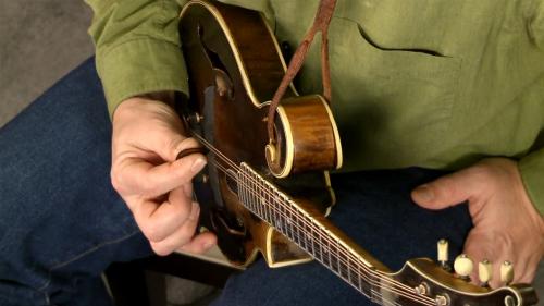 Lynda - Mandolin Lessons: 1 Fundamentals - 501250